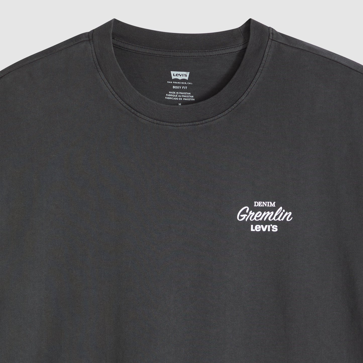 Levi's® Men's Graphic Boxy Tee