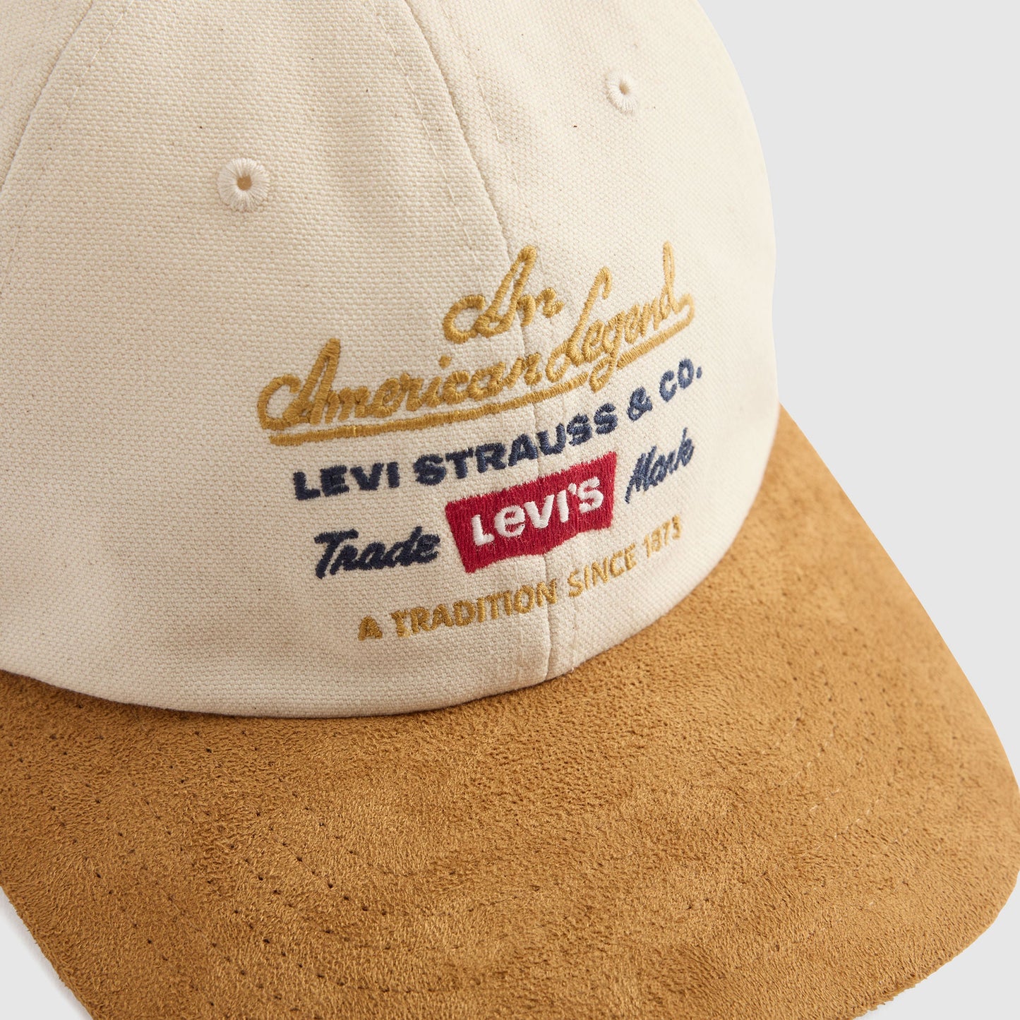 Levi's® Men's Graphic Relaxed Dad Cap