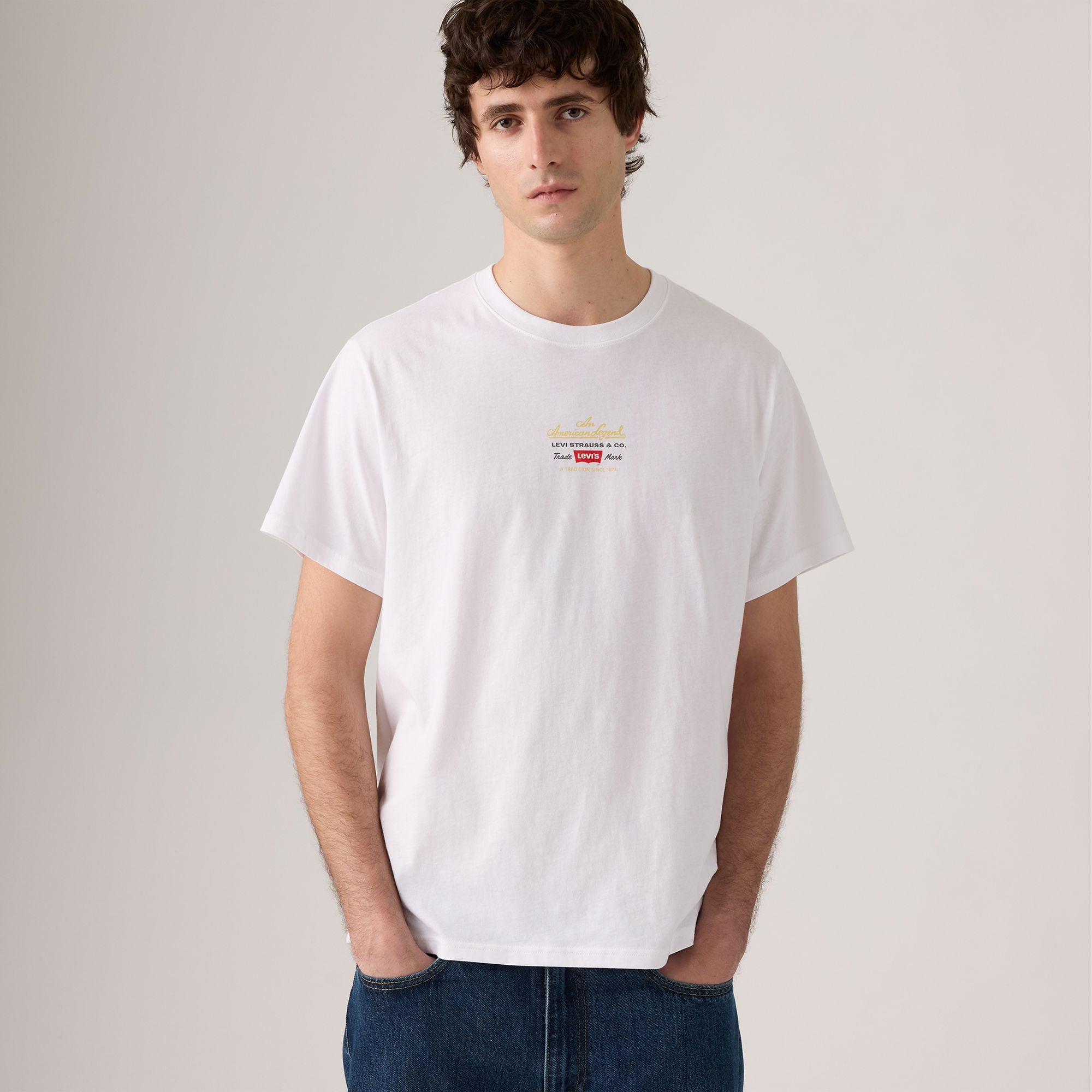 Levi's® Men's Relaxed Short Sleeve Graphic T-Shirt - Multicolor