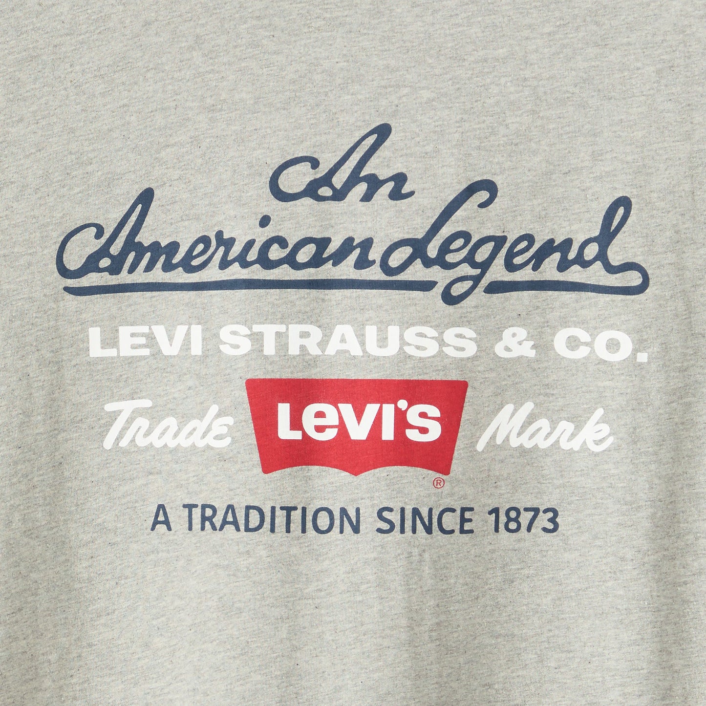 Levi's® Men's Relaxed Short Sleeve Graphic T-Shirt