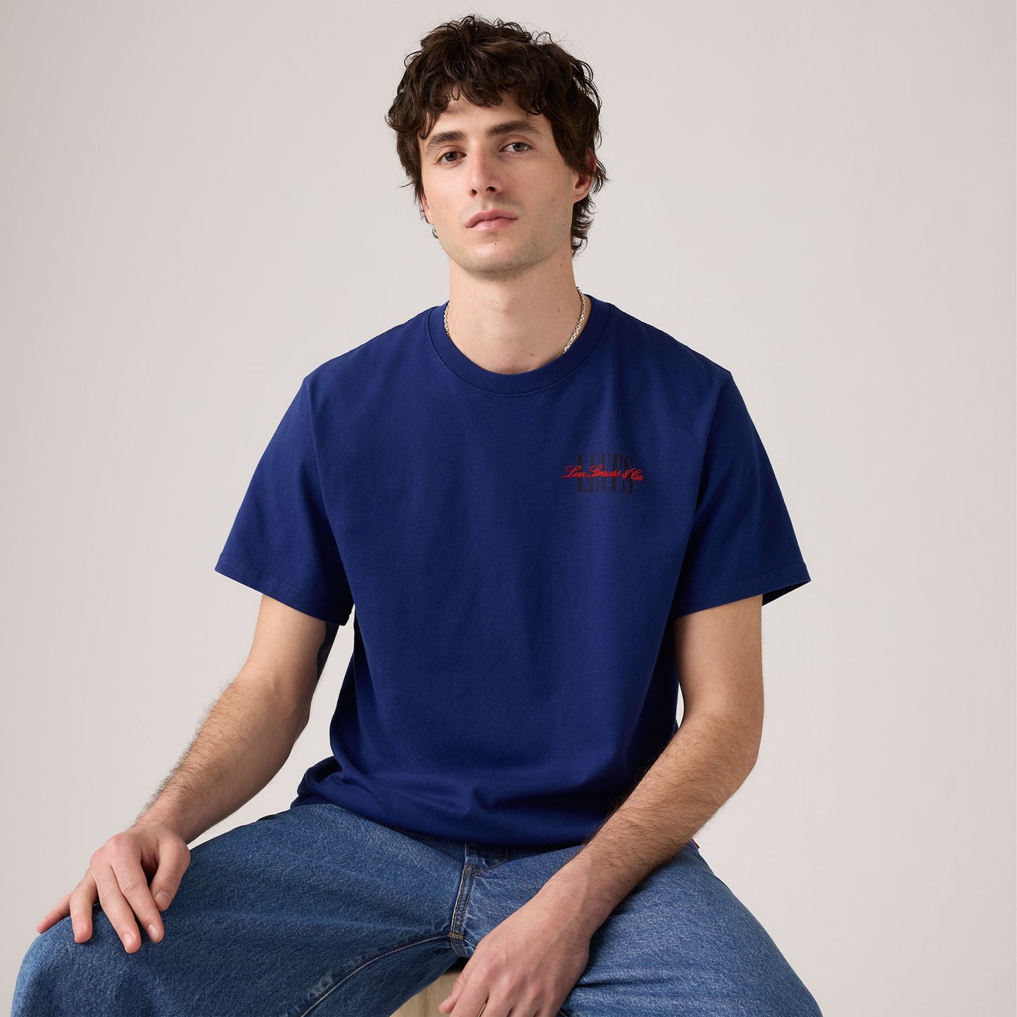 Levi's® Men's Relaxed Short Sleeve Graphic T-Shirt