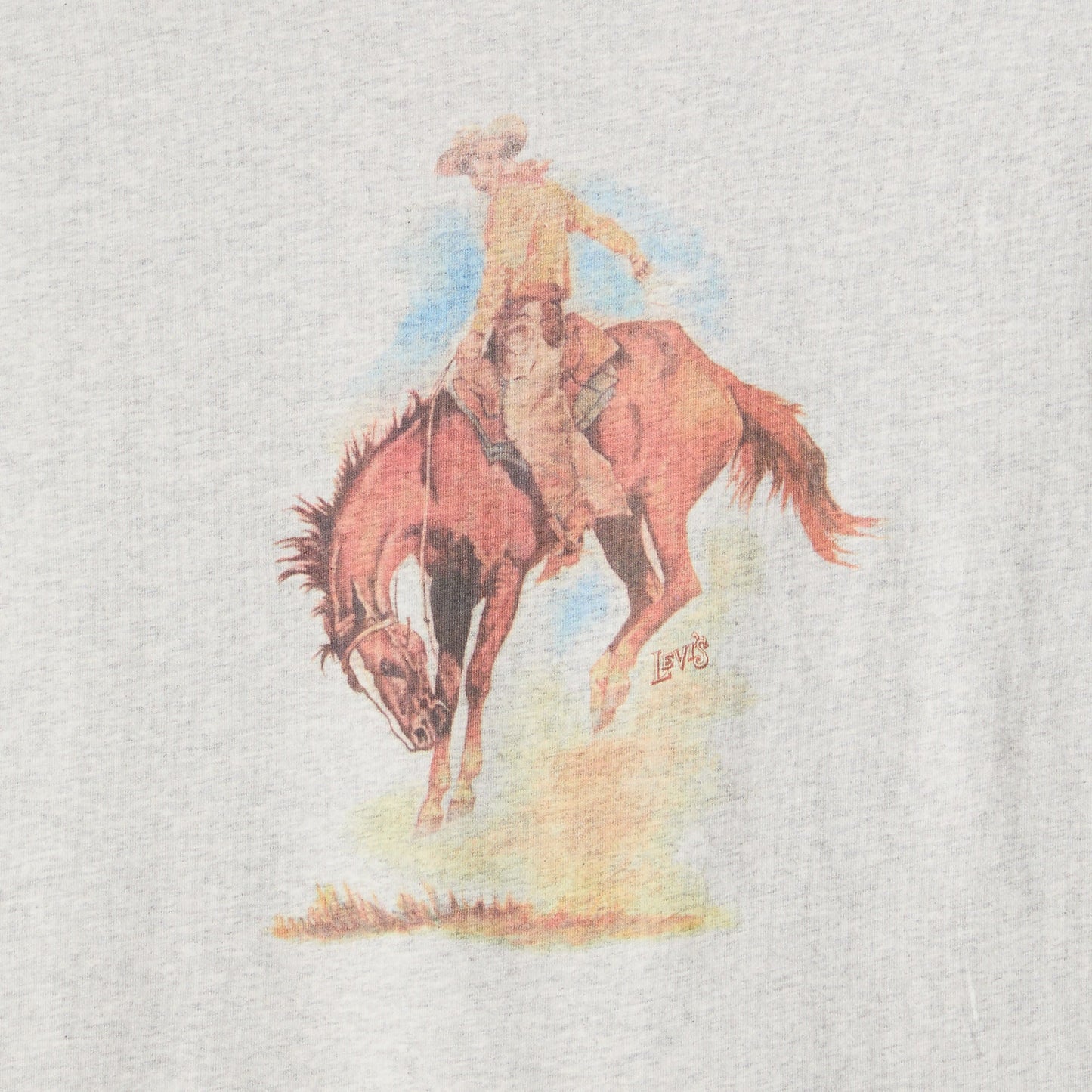 Levi's® Men's Relaxed Short Sleeve Graphic T-Shirt