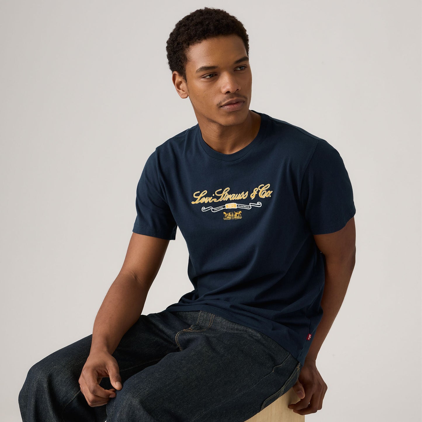 Levi's® Men's Relaxed Short Sleeve Graphic T-Shirt